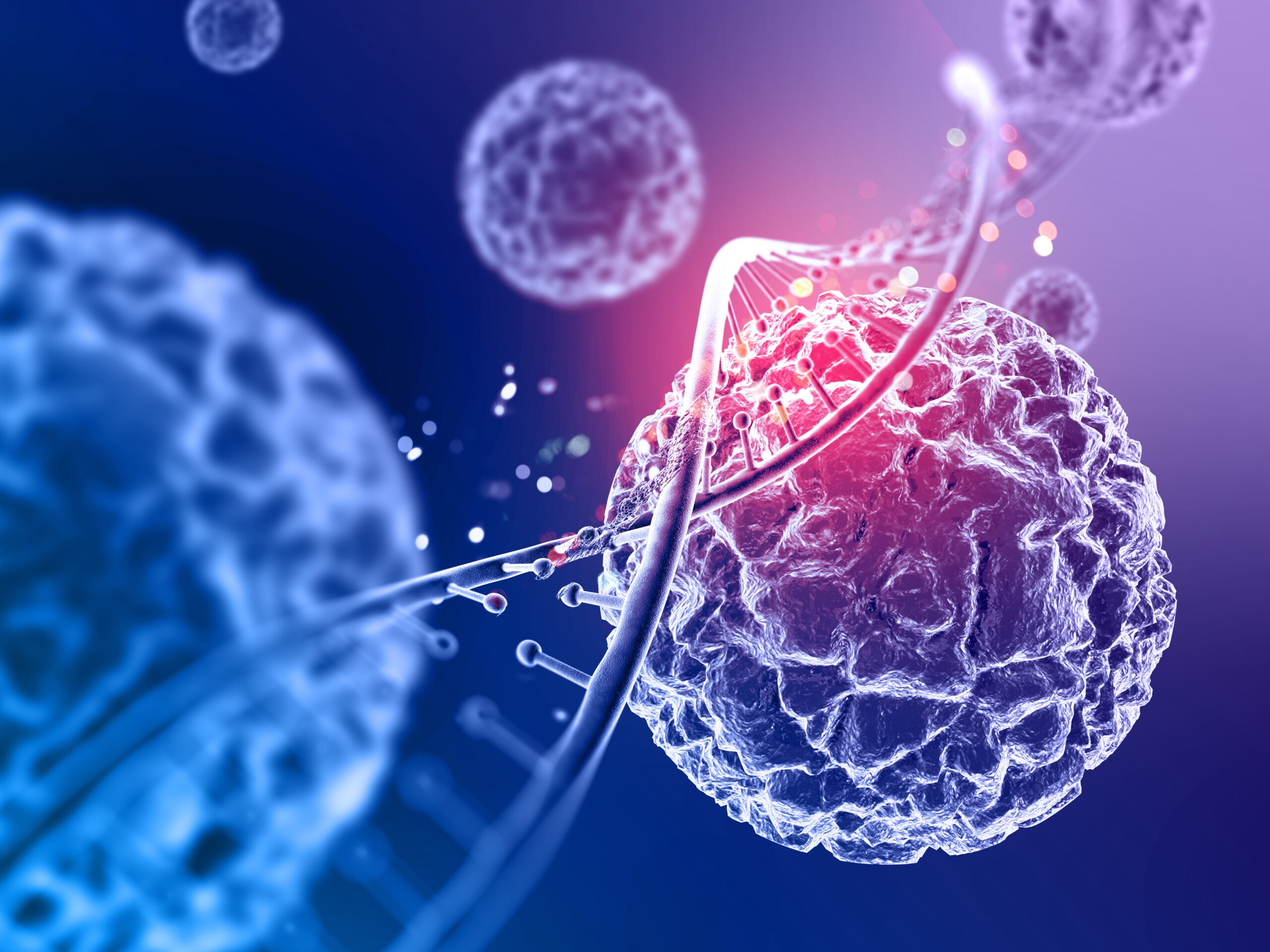 Licence professionnelle Biochimie, Biologie moléculaire et cellulaire pour le Diagnostic In Vitro et les Biothérapies