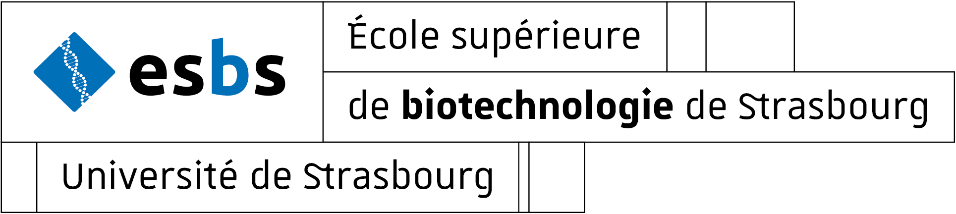 ESBS à Strasbourg (qui dépend d’Unistra)