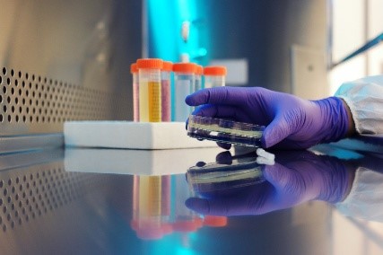 Licence professionnelle Qualité, hygiène, sécurité, santé, environnement