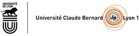 logo-universite-lyon-claude-bernard